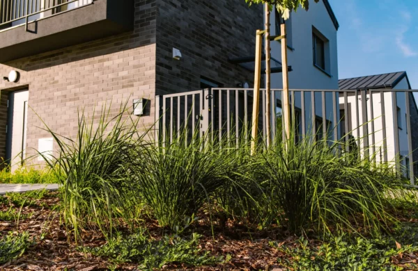 Popiela Inwestycje_SylwiaSajdakFotografia-52